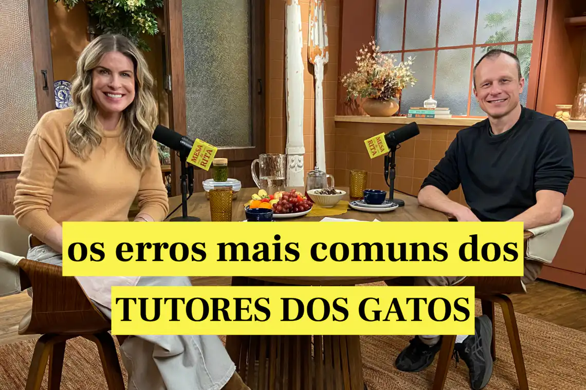 O que os gatos nos ensinam